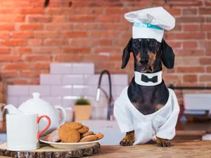 10 Cooking Jokes For A Bellyful Of Laughs