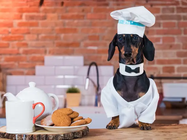 10 Cooking Jokes for a Bellyful of Laughs