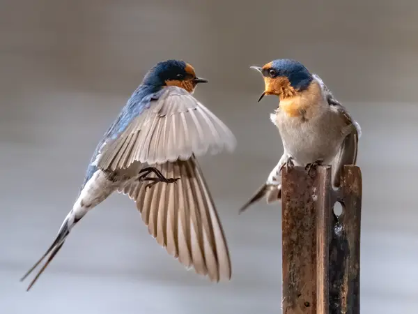 10 Jokes We Hand-Selected to Make You Giggle