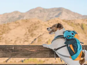 11 Hiking Jokes For A Mountain Of Laughs