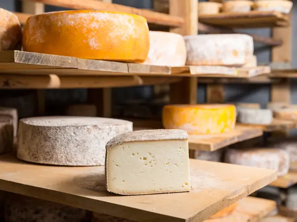 12 Cheese Jokes That Don't Stink