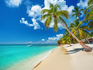 13 Beach Jokes You're Shore To Love