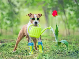 13 Handpicked Jokes About Gardening