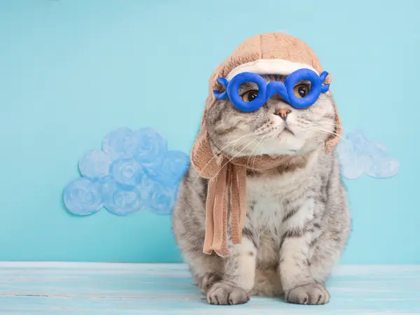 14 Aviation Jokes That Will Have You Rolling Down the Runway