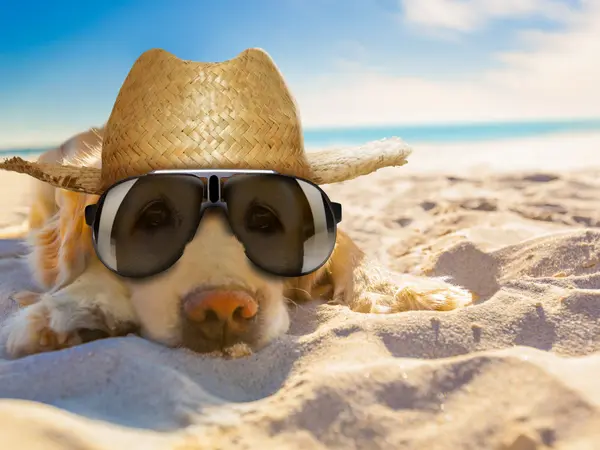 14 Beach Jokes That'll Make Waves