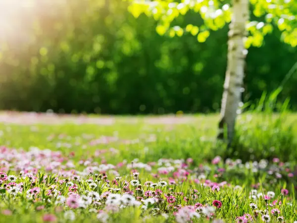 15 Flower Jokes That Will Shed Your Petals