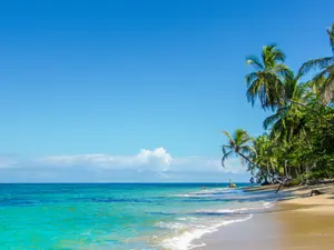 15 Ocean Jokes Shore To Make You Laugh