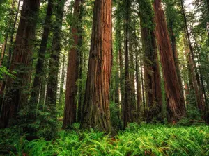 15 Wind-erful Jokes That'll Blow You Away