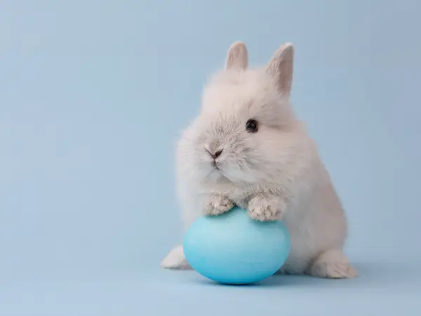 5 Hare-Raising Easter Bunny Jokes That Are to Dye for