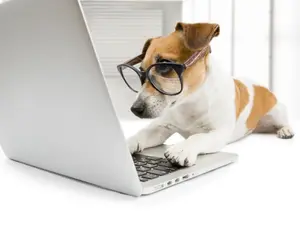 What do you get if you cross a computer and a Rottweiler?