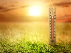 How can you tell the weather's getting warmer?