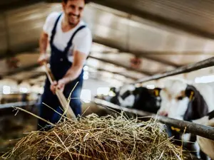 How did the farmer fix his torn overalls?