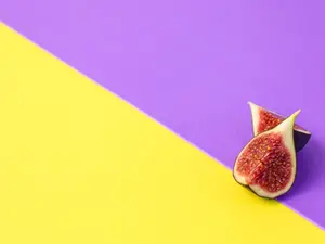 How did the two figs make their marriage last?