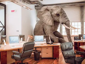 How do elephants talk to each other from long distances?