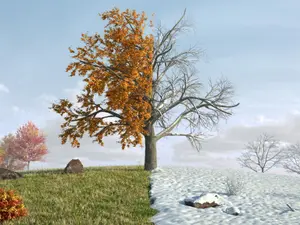 How do fall and winter say hello?