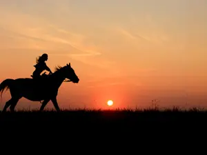 I rode my horse to town on Friday. The next day I rode back on Friday. How?