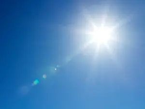 I stayed up all night to see where the sun went.