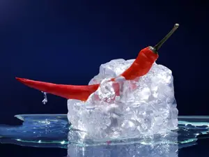 If you had to vote which one is faster, would you choose hot or cold?