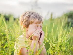 It's allergy season again?