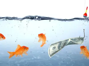 To whom do fish go to borrow money?