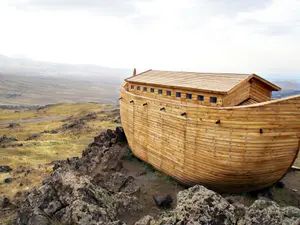 What animal could Noah not trust?