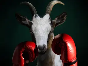 11 Punny Jokes You Knead To Hear