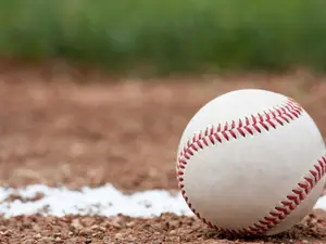 What animal loves a baseball game?