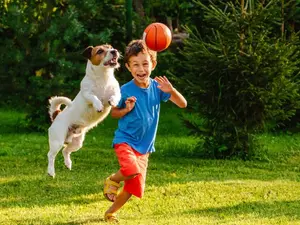 What animal scores the most in basketball?