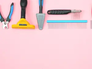 What animal styles their hair every day?