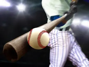 What animals make the best baseball players?