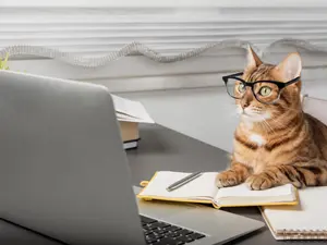 What animals make the best students?