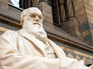 What did Charles Darwin's daughter say to her sibling?