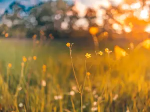 What did summer say to autumn on their first date?