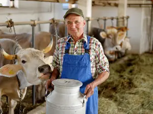 What did the farmer say when his cows escaped?