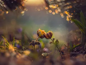 What did the mommy flower say to the baby flower?