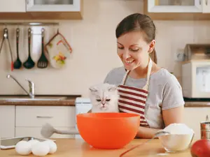 What do cats use to beat eggs?