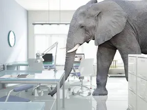 What do you call an elephant that doesn't matter?