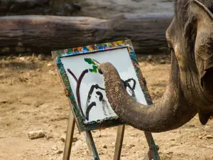 What do you call an elephant's handwriting?