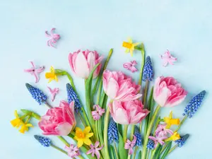 7 Allergy Jokes That'll Make You Laugh And Sneeze