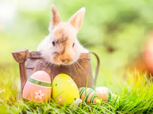 What do you call the Easter Bunny the Monday after Easter?