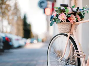 What do you get if you cross a bike and a flower?