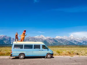 What do you get when dinosaurs crash their cars?