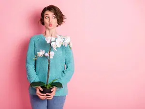 What do you get when two plants kiss?