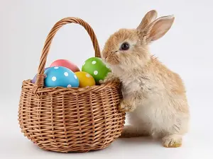 What does the Easter Bunny call the act of leaving his eggs all over?