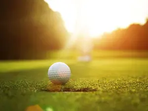 What is a golfer's favorite bird?