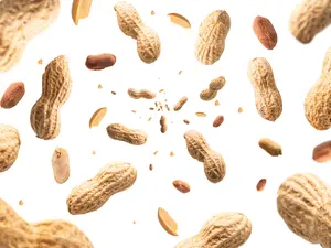 What is an herbalist's favorite brand of peanuts?