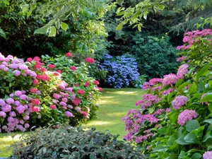 What is the fiercest flower in the garden?