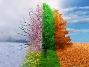 What is the most adorable season?