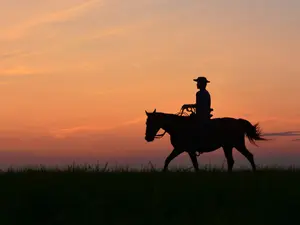 What is the worst holiday to watch old westerns on?