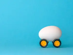 What kind of car do eggs drive?